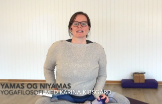 Karina Eline Kibsgård, Yogafarm, yoga på nettet, yoga på nett, onlineyoga, yoga online, gjør yoga hjemme, jivamukti yoga, jivamukti, yoga,yamas og niyamas, yogafilosofi, yogahistorie, de åtte delene av yoga, den åttedelte veien